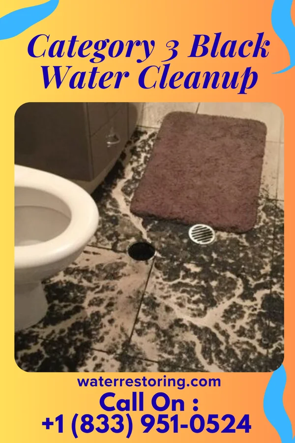 Category 3 Black Water Cleanup in Yerington, NV