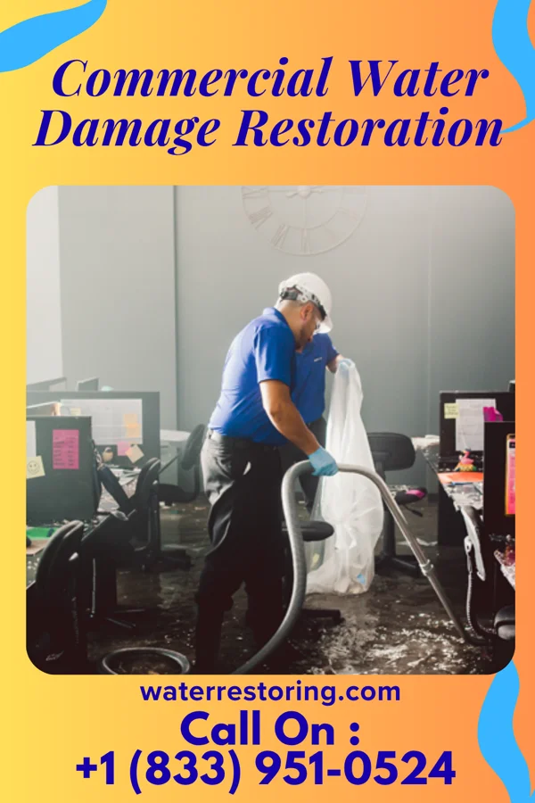 Commercial Water Damage Restoration in Yerington, NV