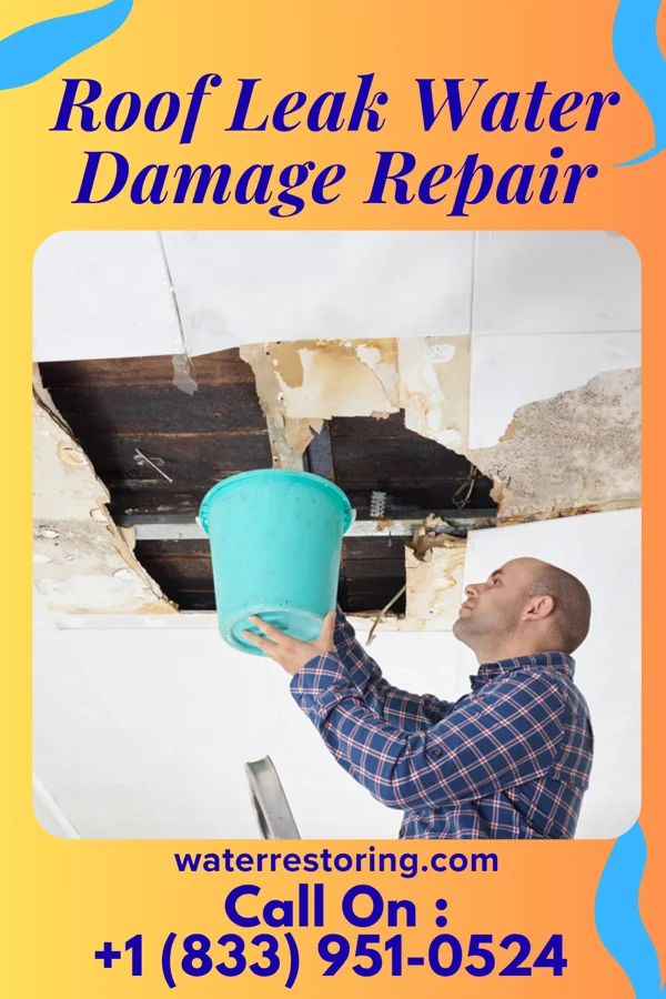 Roof Leak Water Damage Repair in Yerington, NV